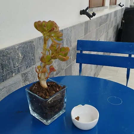 Affitta Zio Peppe بيت ضيافة سان تيودورو